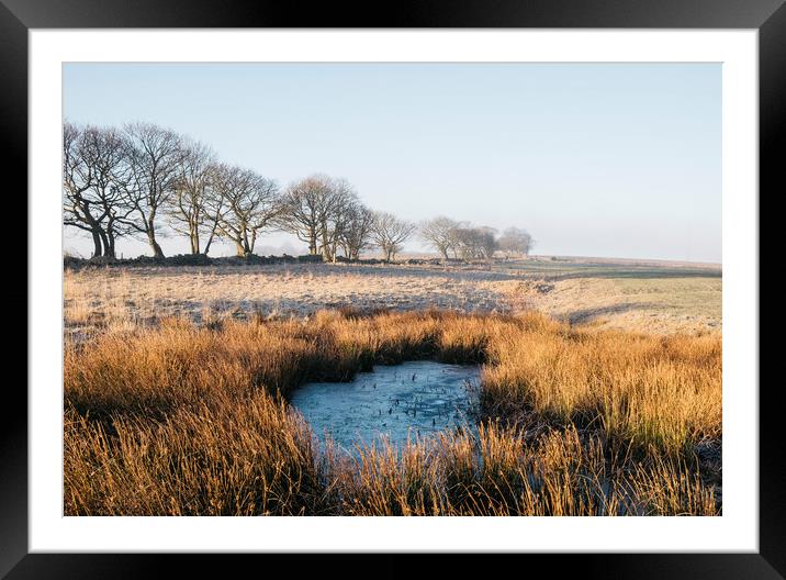 Frozen water and reeds lit by the sunrise. Derbysh Framed Mounted Print by Liam Grant
