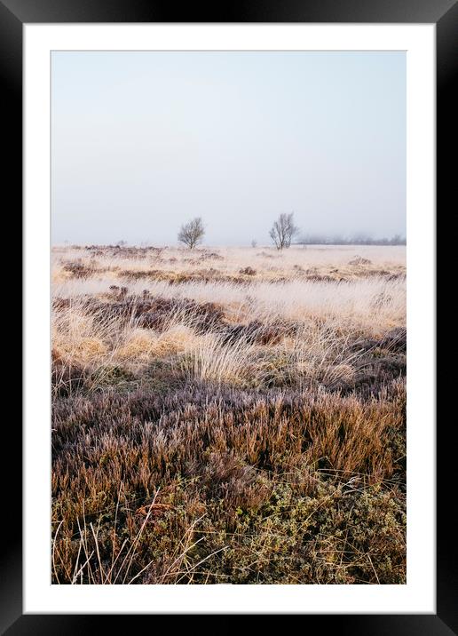 Frozen heather in the fog at sunrise. Beeley Moor, Framed Mounted Print by Liam Grant