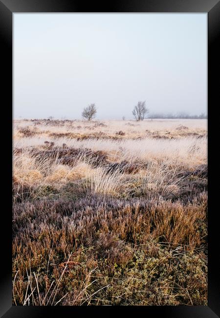 Frozen heather in the fog at sunrise. Beeley Moor, Framed Print by Liam Grant