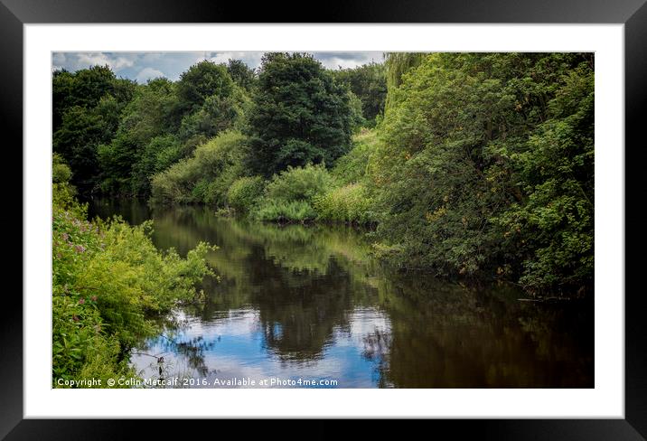 Wetland Habitat Framed Mounted Print by Colin Metcalf