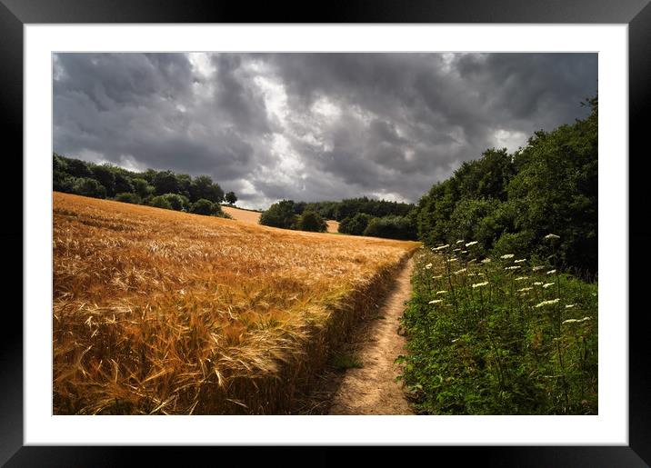 Barley Fields and Footpath, Eckington              Framed Mounted Print by Darren Galpin