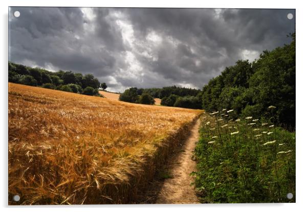 Barley Fields and Footpath, Eckington              Acrylic by Darren Galpin