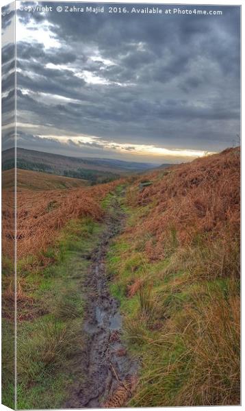 A Vertical Landscape with Rustic tones Canvas Print by Zahra Majid