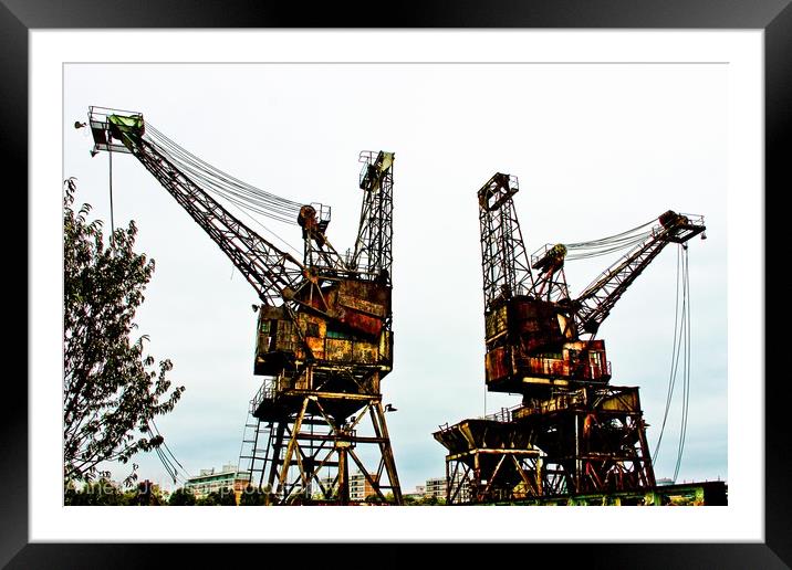 Cranes of Battersea Framed Mounted Print by Annette Johnson