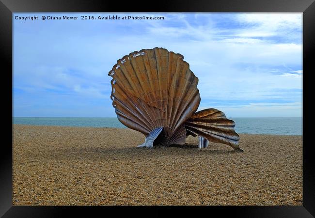 Aldeburgh Scallop Framed Print by Diana Mower