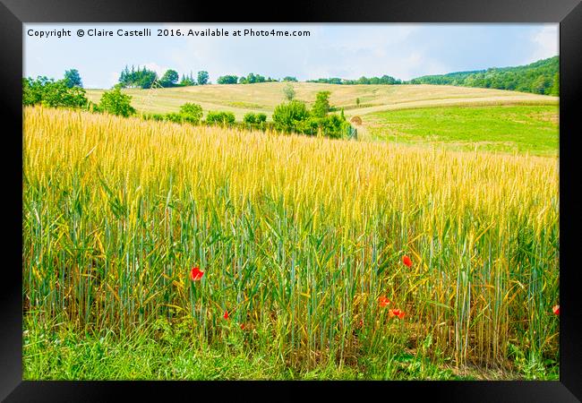 Country life Framed Print by Claire Castelli