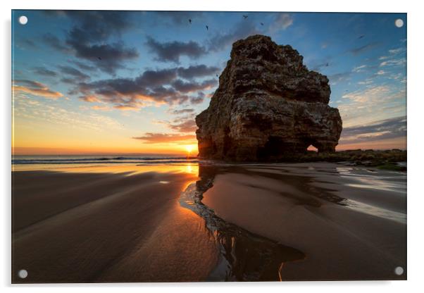Marsden Rock Sunrise Acrylic by Paul Appleby