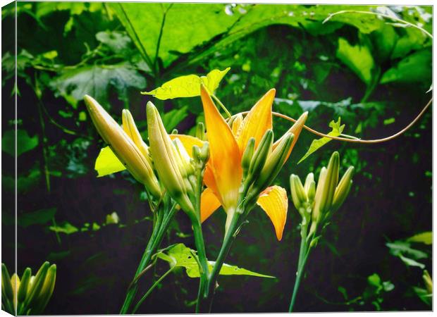 Lilies Canvas Print by Victor Burnside