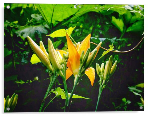 Lilies Acrylic by Victor Burnside