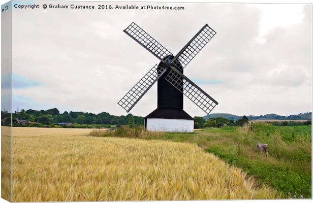 Dog and Windmill Canvas Print by Graham Custance