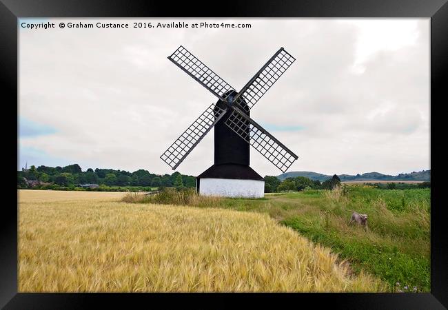 Dog and Windmill Framed Print by Graham Custance