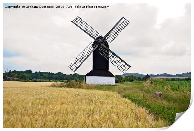 Dog and Windmill Print by Graham Custance