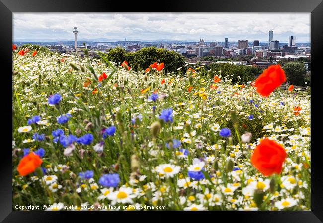 Widlflowers in front of the Liverpool skyline Framed Print by Jason Wells