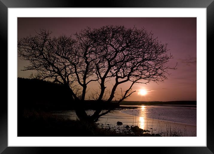 Purple sunset with tree and lake Framed Mounted Print by Gabor Pozsgai