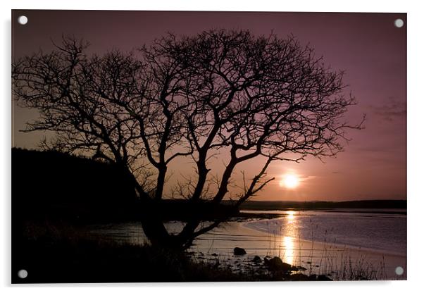 Purple sunset with tree and lake Acrylic by Gabor Pozsgai