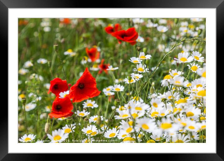 Frame of red, yellow & white Framed Mounted Print by Jason Wells
