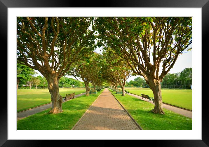 Beach House Park, Worthing Framed Mounted Print by graham young