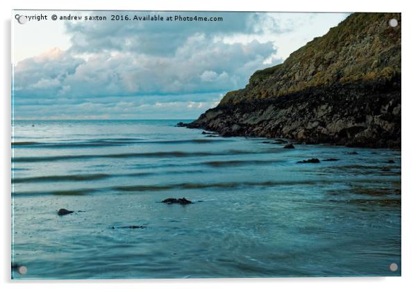 SEA AND CLIFFS Acrylic by andrew saxton