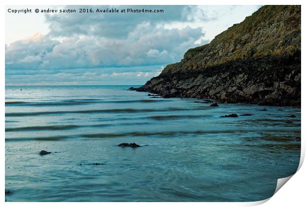 SEA AND CLIFFS Print by andrew saxton