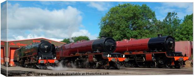 A Duchess and two Princesses, Stanier Pacifics Canvas Print by David Birchall