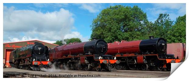 A Duchess and two Princesses, Stanier Pacifics Print by David Birchall