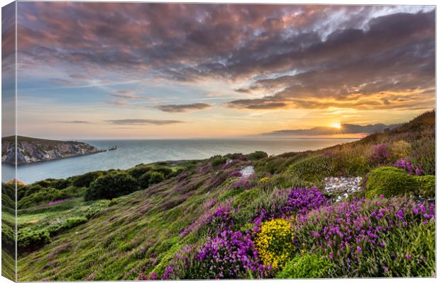 The Needles At Sunset Canvas Print by Wight Landscapes