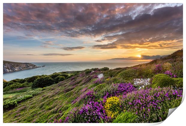 The Needles At Sunset Print by Wight Landscapes