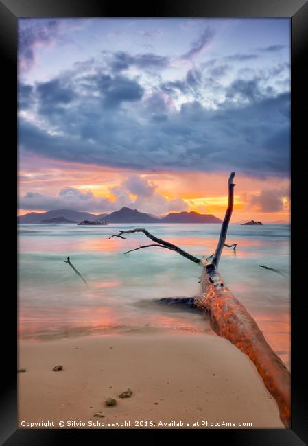 colours of seychelles Framed Print by Silvio Schoisswohl