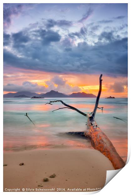 colours of seychelles Print by Silvio Schoisswohl