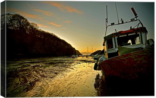 Watermouth Bay Sunset Canvas Print by graham young