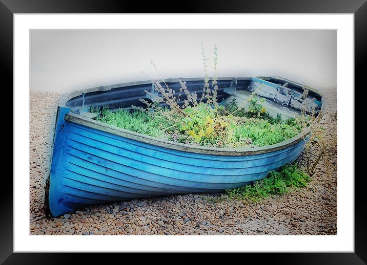 Boat Garden Framed Mounted Print by Karen Martin
