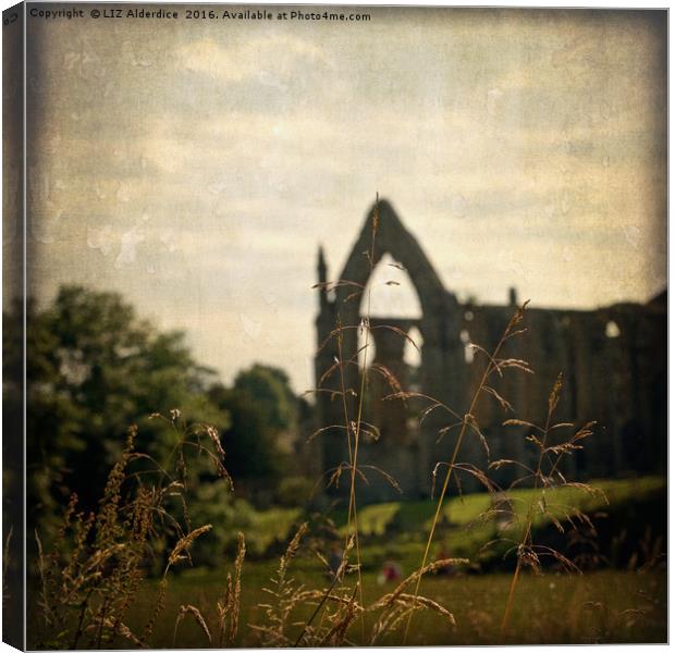 Bolton Abbey Ruins Canvas Print by LIZ Alderdice