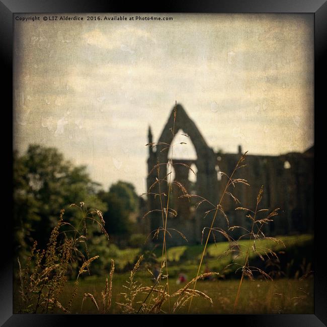 Bolton Abbey Ruins Framed Print by LIZ Alderdice