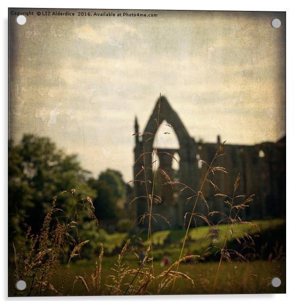 Bolton Abbey Ruins Acrylic by LIZ Alderdice