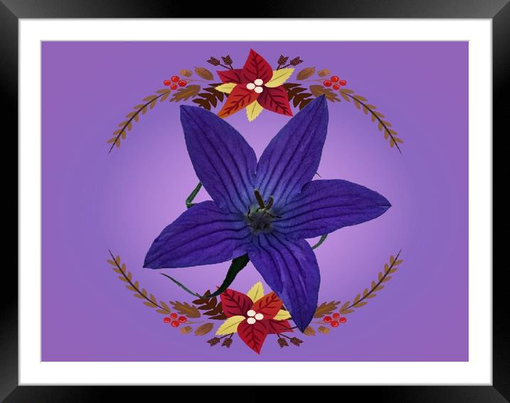 Clematis Framed Mounted Print by Henry Horton