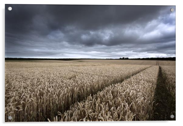 Stormy Cornfields Acrylic by Ian Hufton