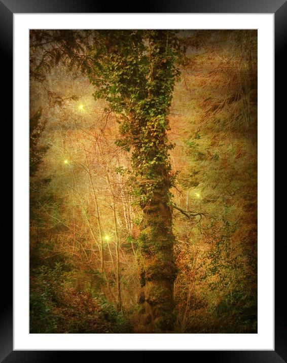 Night Glow. Framed Mounted Print by Heather Goodwin