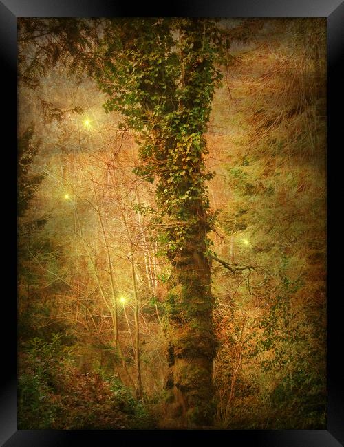Night Glow. Framed Print by Heather Goodwin