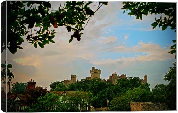 Arundel Castle Canvas Print by graham young