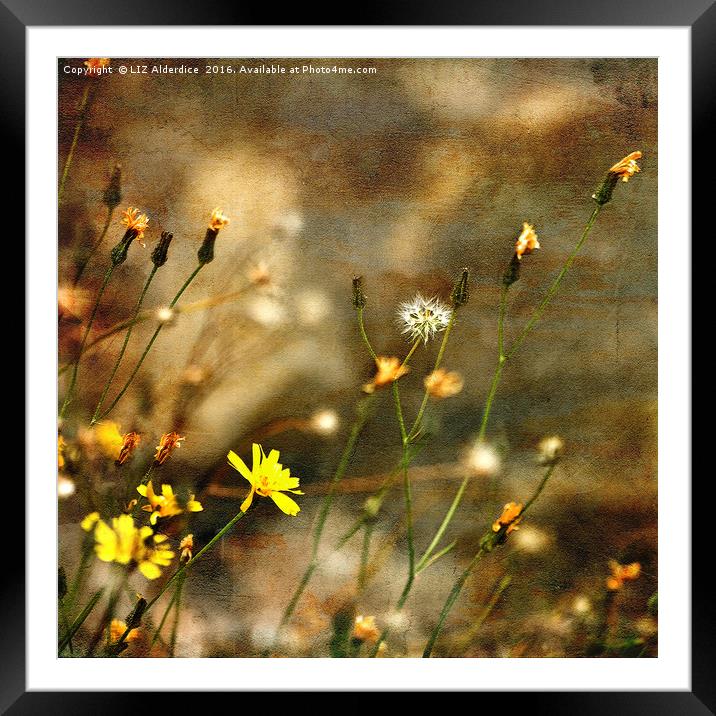 Slow Down Framed Mounted Print by LIZ Alderdice