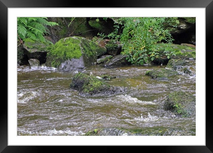 East Lyn River  Framed Mounted Print by Tony Murtagh