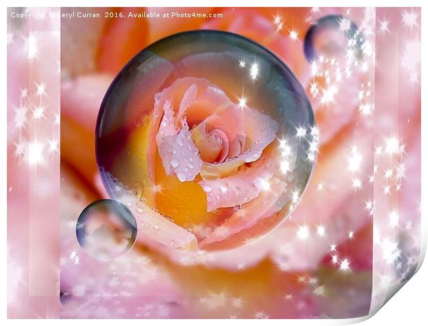 Enchanted Rose Bubble Print by Beryl Curran