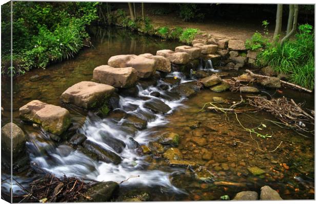 Endcliffe Park Stepping Stones and Falls           Canvas Print by Darren Galpin