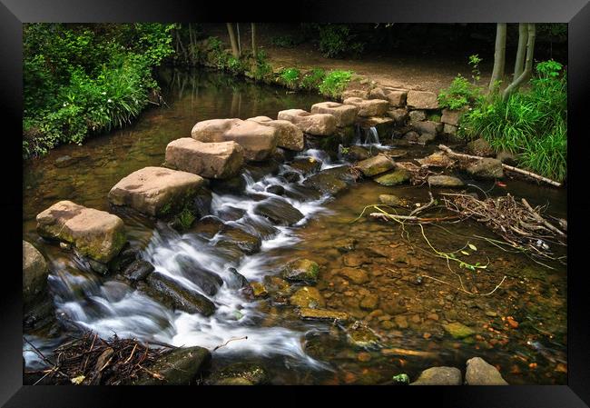 Endcliffe Park Stepping Stones and Falls           Framed Print by Darren Galpin