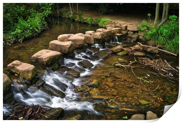 Endcliffe Park Stepping Stones and Falls           Print by Darren Galpin