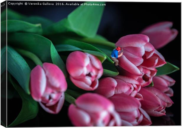 Painting the tulips Canvas Print by Veronika Gallova