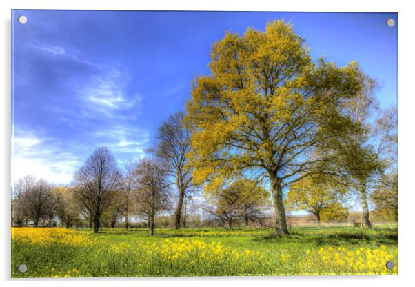 Summer Farm Trees Art Acrylic by David Pyatt