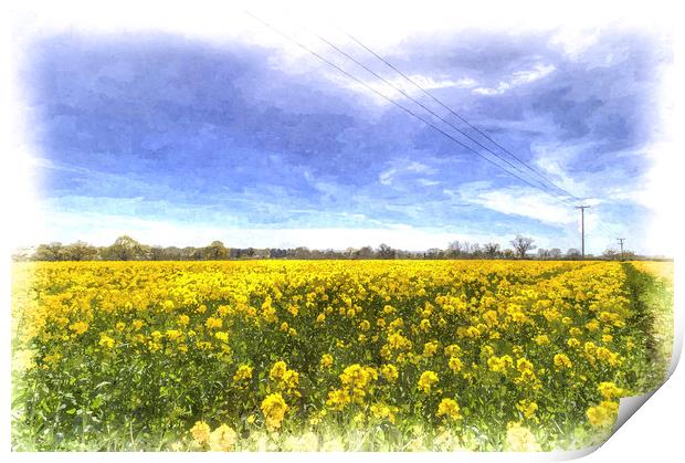 Yellow Fields Of Summer Art Print by David Pyatt