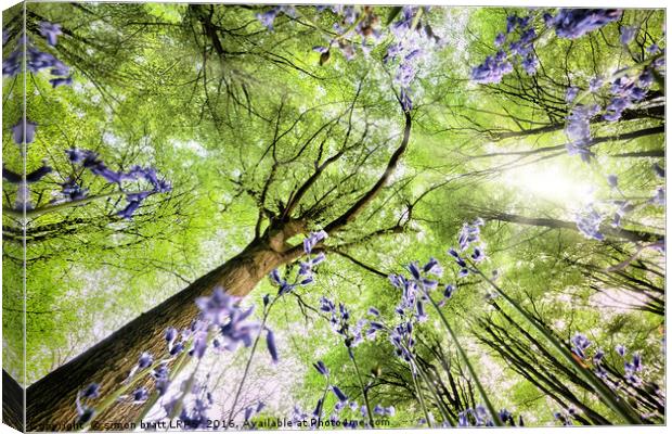 Bluebell forest from worms eye view Canvas Print by Simon Bratt LRPS