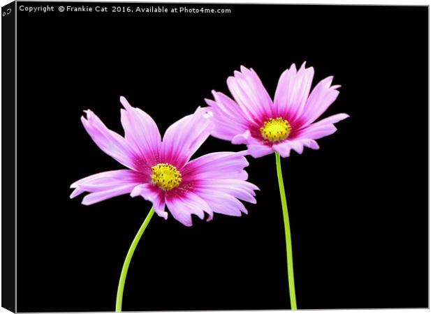 2 Cosmos Canvas Print by Frankie Cat